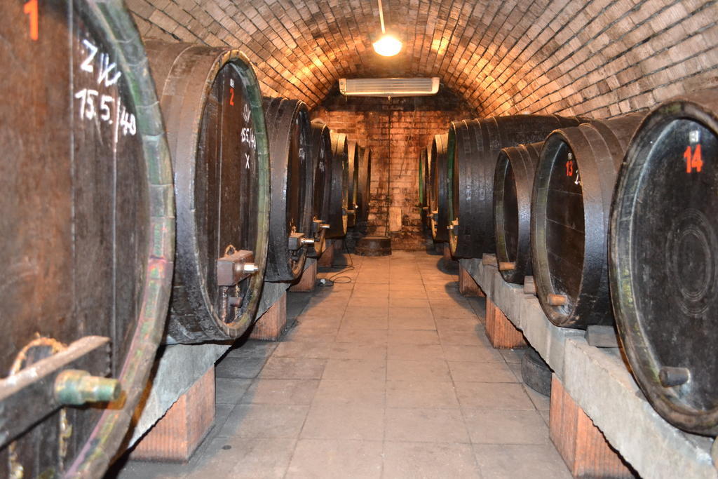 Penzion Vinarsky Dvorek Velke Nemcice Exterior foto